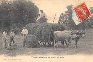 Causerie "Fenaisons et prairies usagères en Chalosse du Moyen-Age à nos jours"