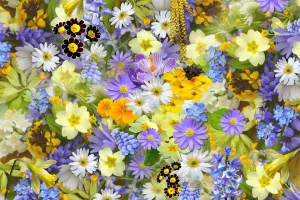 Atelier botanique