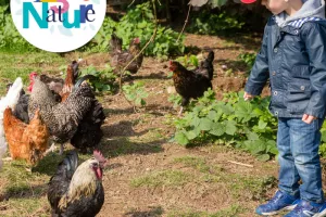 Visite - Balade à la ferme
