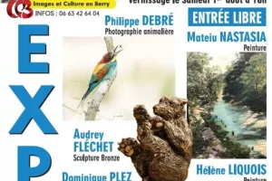 Exposition