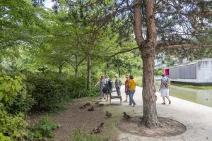 À la découverte du parc de Billancourt