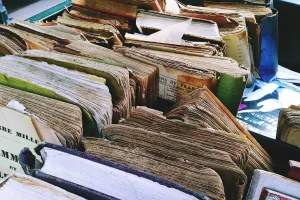 Brocante des Platanes à Puy-l'Evêque