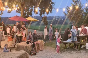 Soirée Concert à l'Asinerie