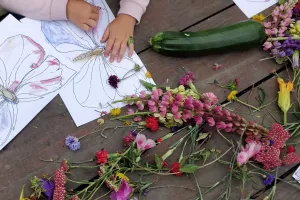 Conte sur les papillons et coloriage végétaux, à la Cueillette de l'Aragnon