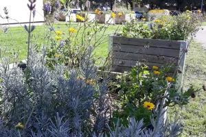 Rendez-vous au jardin Chêne des anglais
