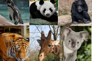 ZOO DE LILLE