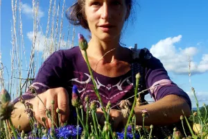 SORTIE NATURE - HISTOIRES DE PLANTES