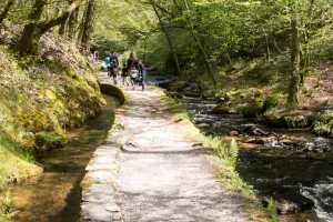 Visite guidée du Canal des Moines