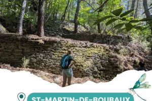 BALADE AU DÉTOUR DE LA RIVIÈRE