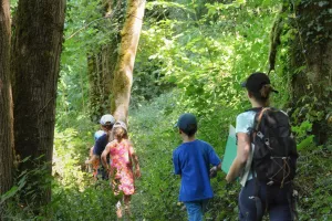 Randonnée commentée : Le long de la Cure entre rivière, forêt et bocage - 29 juillet