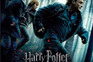 Harry Potter et les reliques de la mort, 1ère partie