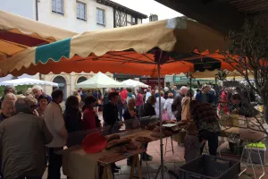 Marché de Producteurs Locaux