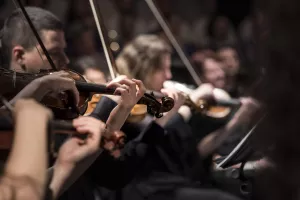 Musicales entre-Bois - Montalembert