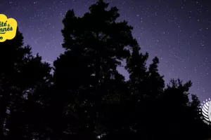 Balade nocturne enchantée