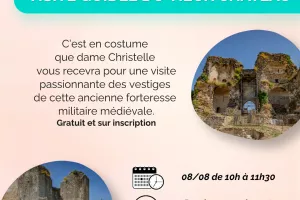 Visite guidée du Vieux Château
