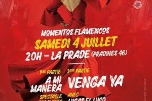 Momentos Flamencos