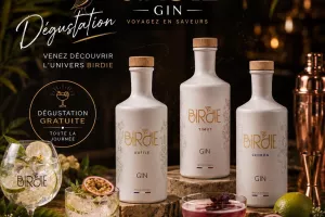 Journée de dégustation de Gin