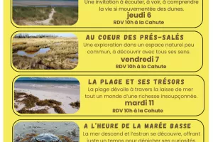 A l'heure de la marée basse