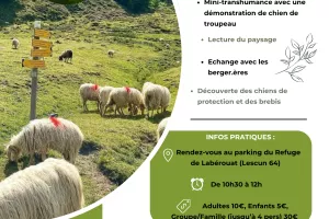 Vis ma vie de berger.ère au coeur des Pyrénées