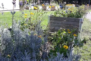 Rendez-vous au jardin Chêne des anglais