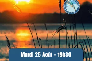 Estivales - Mardis soir au bord de l'eau - Châtres-sur-Cher