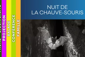 PIC DU MIDI - Nuit de la chauve-souris