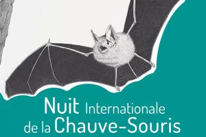 La nuit de la chauve-souris