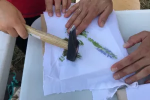Herbier frappé en famille