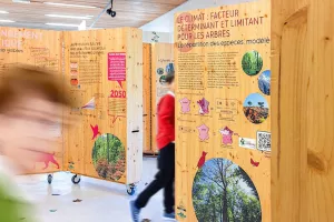 Exposition - Les forêts du Grand Est à l'épreuve du changement climatique