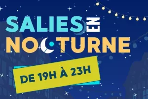 Salies en nocturne et son marché