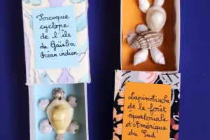 JEU(X)DIS D’ÉTÉ | Atelier créatif "Chimère coquillage"