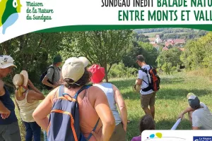Entre monts et vallée - À partir de 8 ans