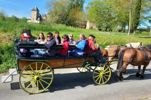 Apéro Calèche, à la Ferme au Bèth Loc