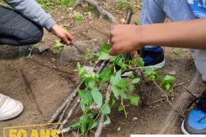 Petites magies et jeux de Nature – Gorges de la Loire