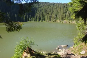 Club Vosgien : Tanet - Lac Vert