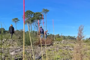 Chantier participatif : Agir pour l’entretien de la forêt du Pignada
