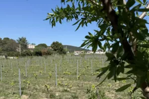 CLIMAT TOUR : Re-Gard croisé