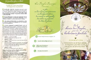 Découverte des plantes médicinales