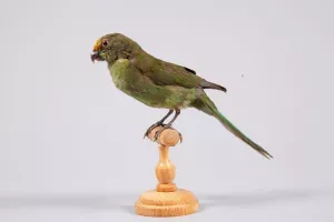 Visite famille au Musée de la Cour d'Or - Euro-Métropole de Metz - La petite vadrouille au Pavillon
