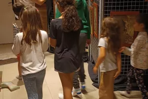 Animation chauves-souris