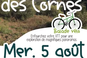 BALADE VTT : LE SENTIER DES CORNES