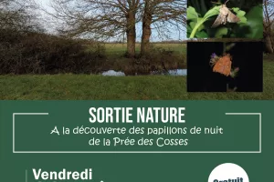Sortie nature - À la découverte des papillons de nuit de la Prée des Cosses