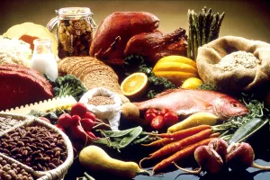 ATELIER DIÉTÉTIQUE ET NUTRITION
