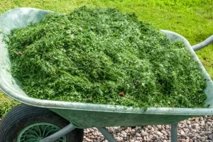 ATELIER "DES SOLUTIONS POUR RÉUTILISER FACILEMENT LES DÉCHETS DE JARDIN"