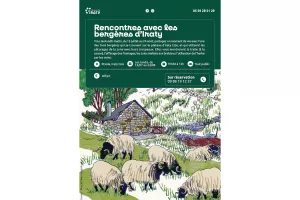 Rencontres avec les bergères d'Iraty