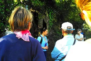 Le bocage en baskets