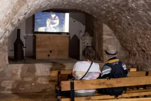 CAUSERIE AUTOUR DU FILM LOU MÈJIO – LA VIE DES PAYSANS D'ANTAN SUR LE CAUSSE MÉJEAN