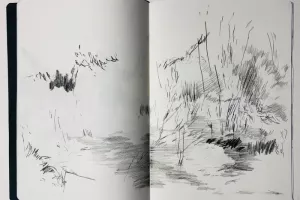Stage de dessin autour de l’œuvre de Stéphanie Mansy