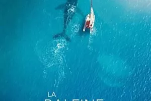 LA BALEINE ET LE MUSICIEN