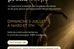 SPECTACLE DE DANSE & POLE DANCE